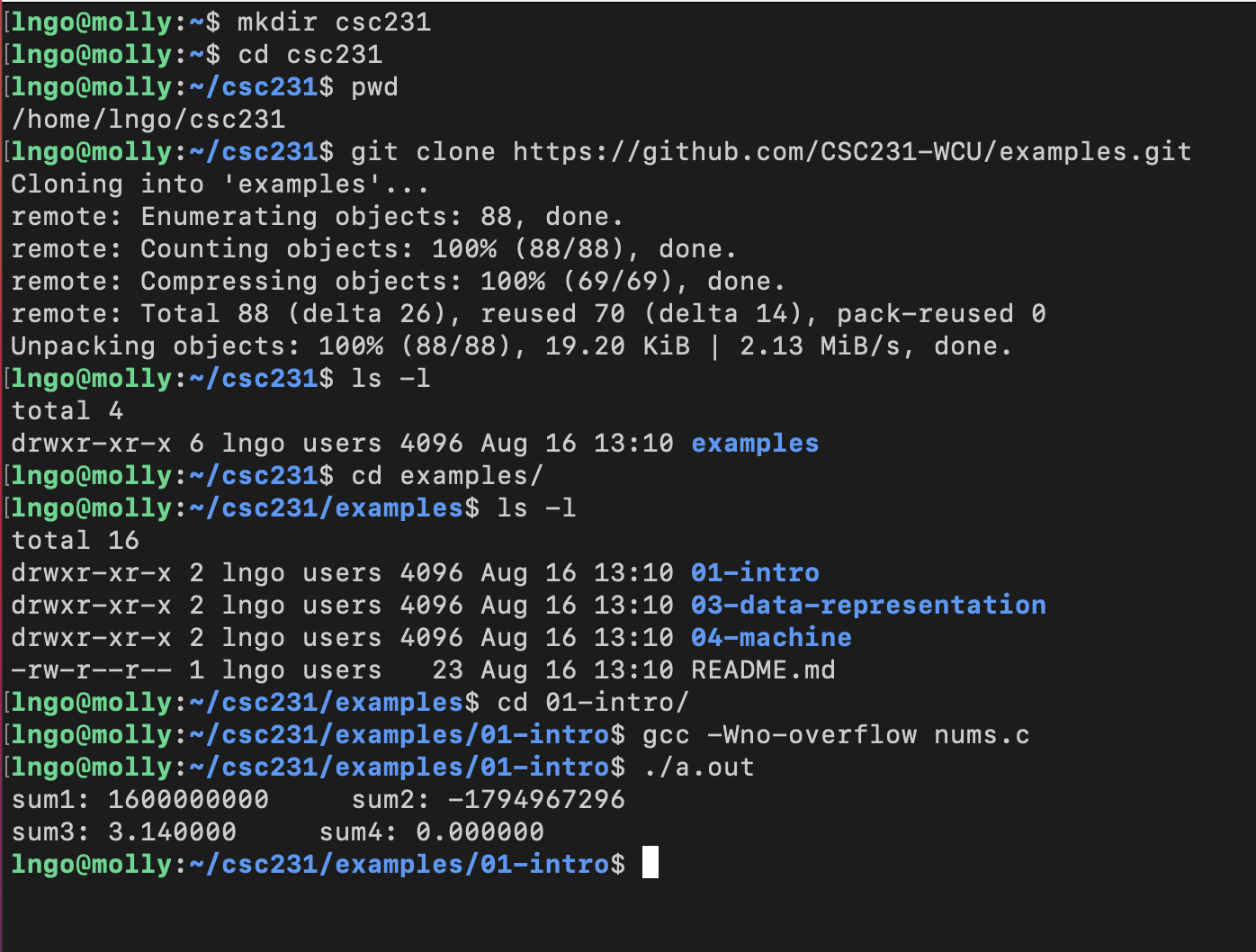 Compile and run nums.c