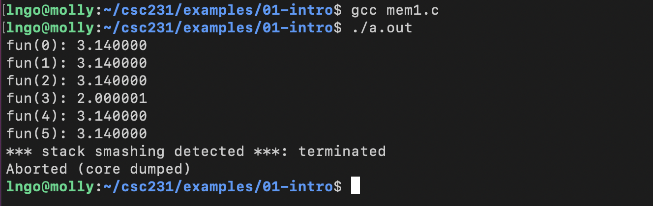 Compile and run mem1.c