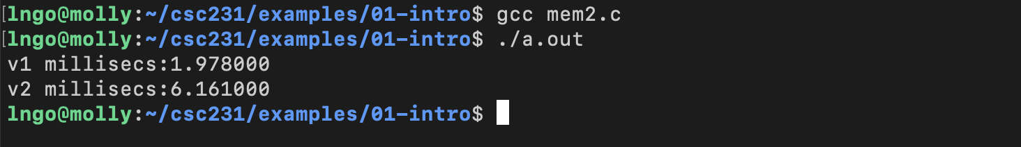 Compile and run mem2.c