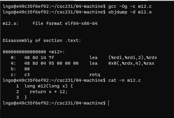 demonstrating load effective address